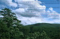 photo ketubah