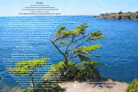 photo ketubah